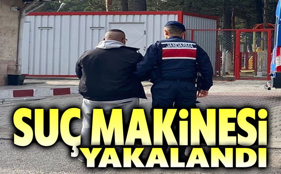 Suç makinesi yakalandı