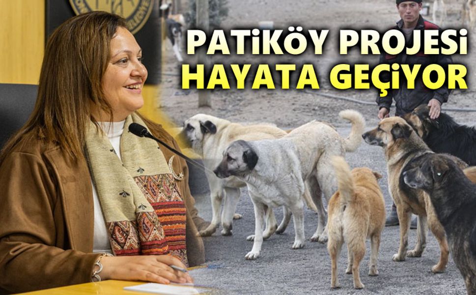 Afyon'da Patiköy Projesi hayat geçiyor