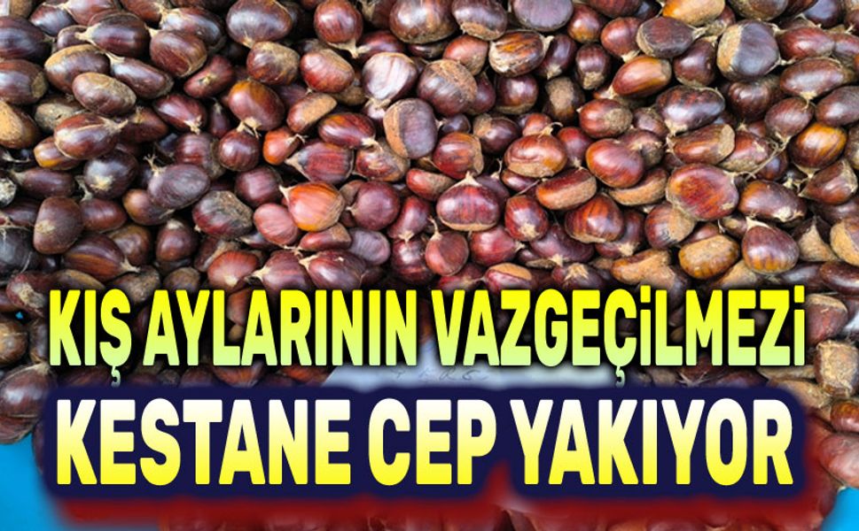 Kış aylarının vazgeçilmezi kestane cep yakıyor