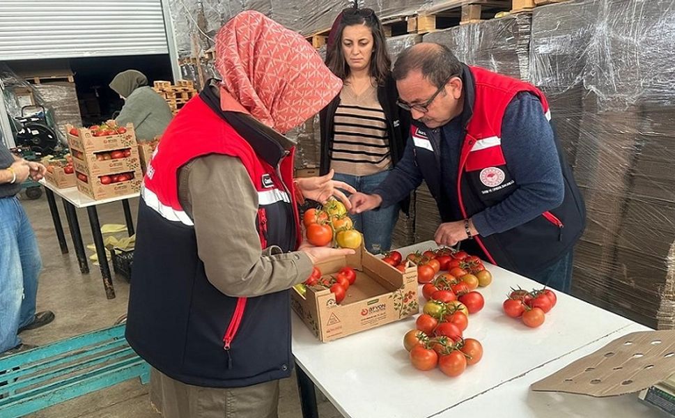 Afyonkarahisar'dan 23 ülkeye 8700 ton domates ihraç edildi