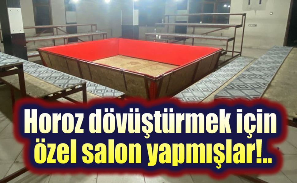 Afyon'da horoz dövüştürenlere operasyon!..