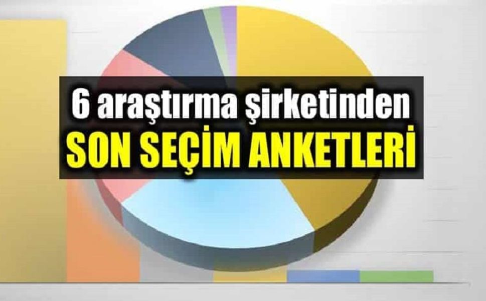 İşte 6 şirketin anket sonucu!..