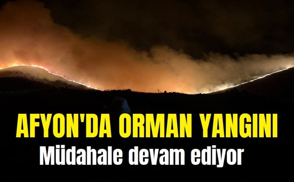 Afyon'da orman yangını: Müdahale devam ediyor