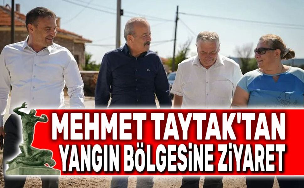Mehmet Taytak, yangın bölgesini ziyaret etti