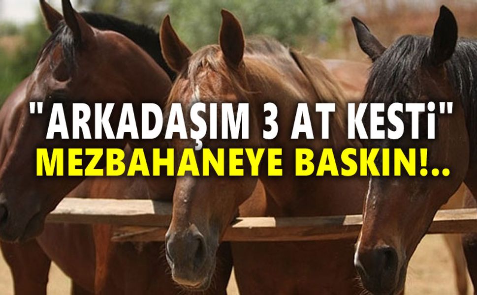 Mezbahaneye baskın: At kesip piyasaya sürmüşler!..