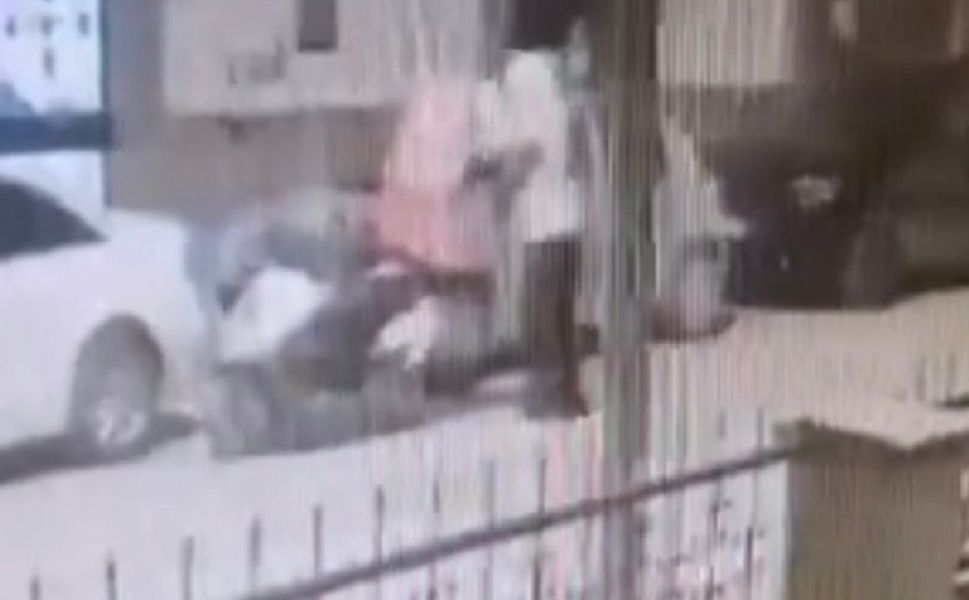 Kuryenin çantasındaki dürümü çalıp kaçtı!..