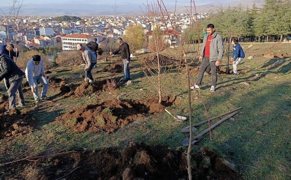 Afyon'da Sandıklılı yarenler badem fidan dikti