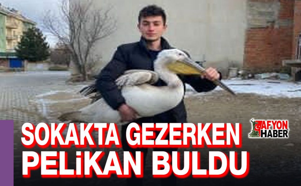Sokakta gezerken pelikan buldu