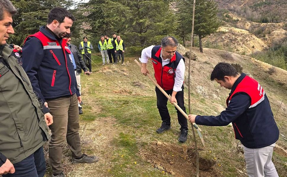 AFYON'DA 2 BİN FİDAN TOPRAKLA BULUŞTURULDU