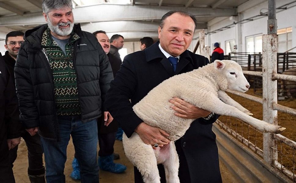 MODERN HAYVANCILIK ÖNCELİKLİ ALANLARIMIZDAN