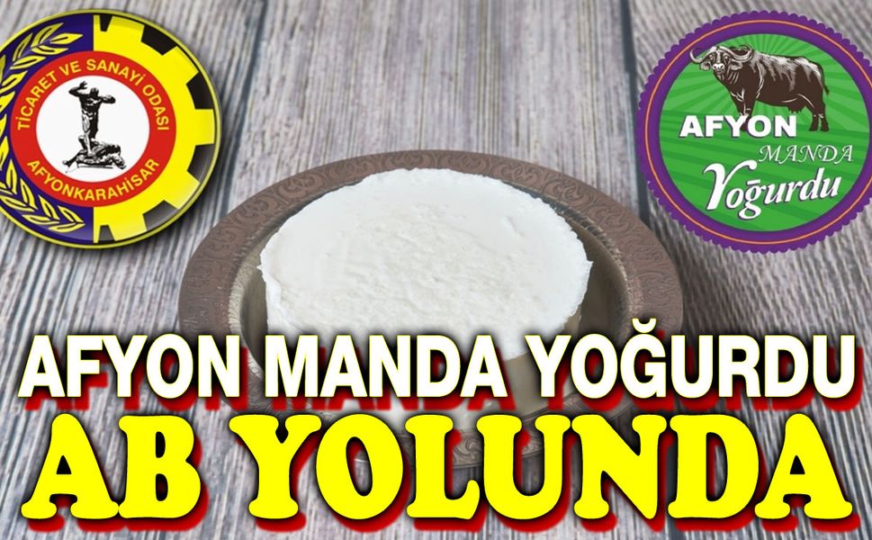 Afyonkarahisar Manda Yoğurdu, AB yolunda