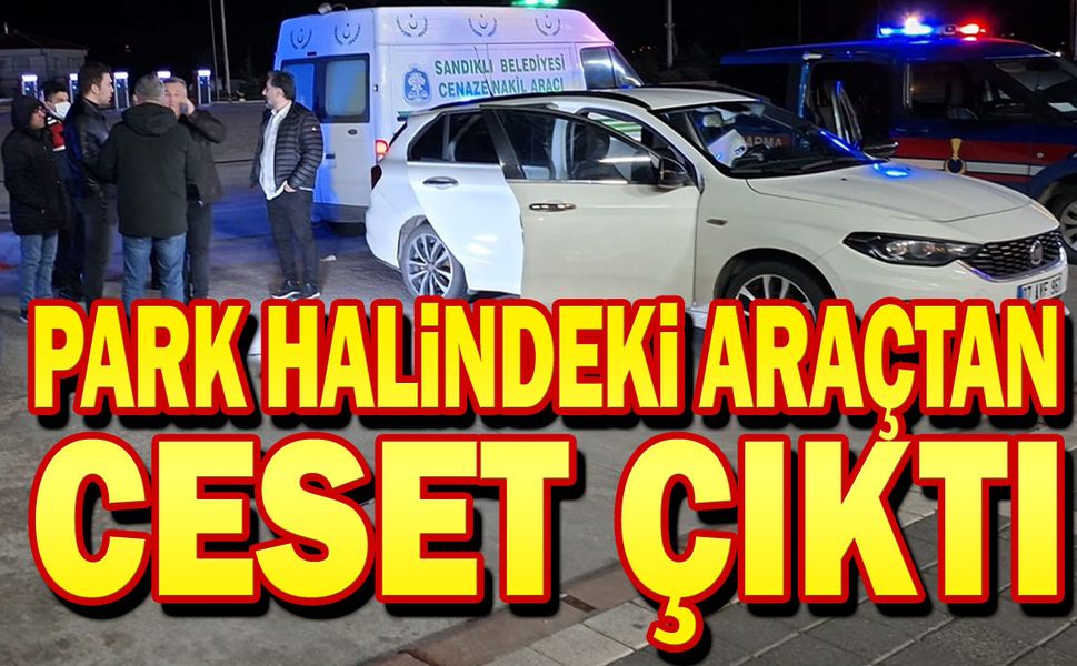 Park halindeki araçtan ceset çıktı!..
