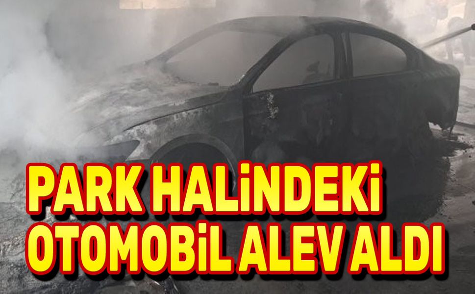 Park halindeki otomobil alev aldı