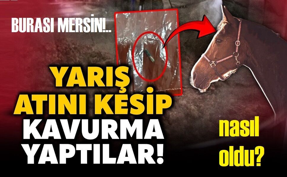 Şampiyon yarış atı, nasıl  kavurma oldu?!..