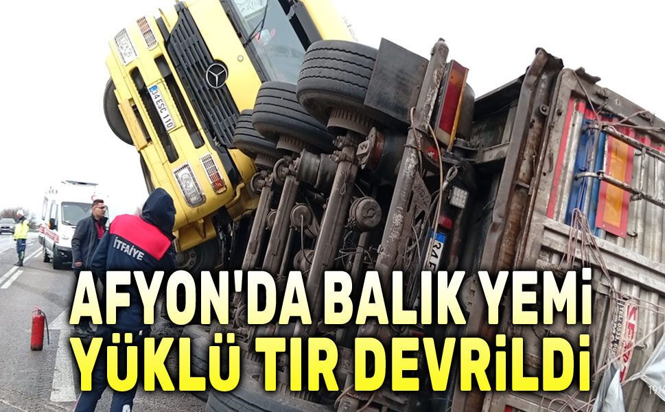 Afyon'da balık yemi yüklü tır devrildi