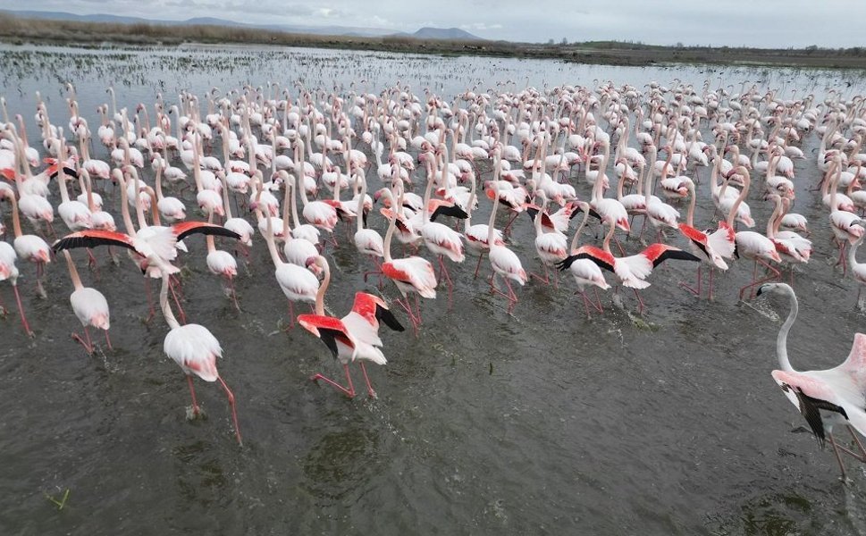 Eber Gölünden güzel görüntüler