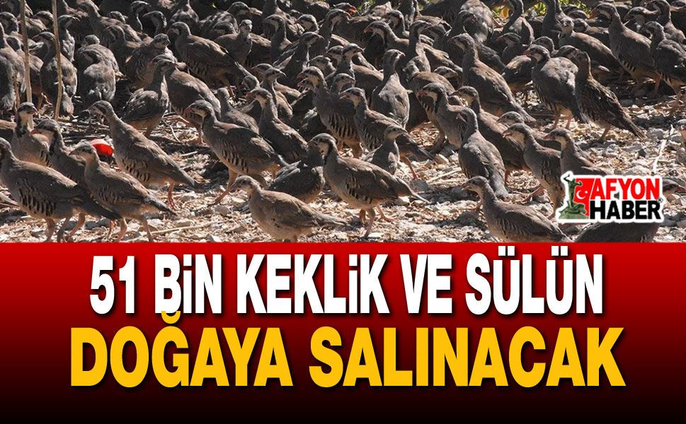 51 Bin Keklik Ve Sülün Doğaya Salınacak