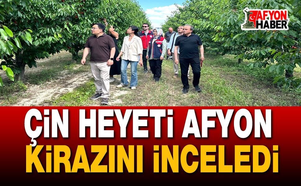 Çin Heyeti Afyonkarahisar Kirazını İnceledi