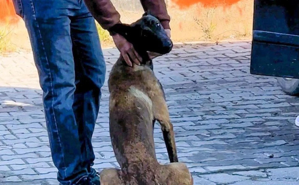 “Daha Sert, Katı ve Radikal Kararlar Alınmalı”