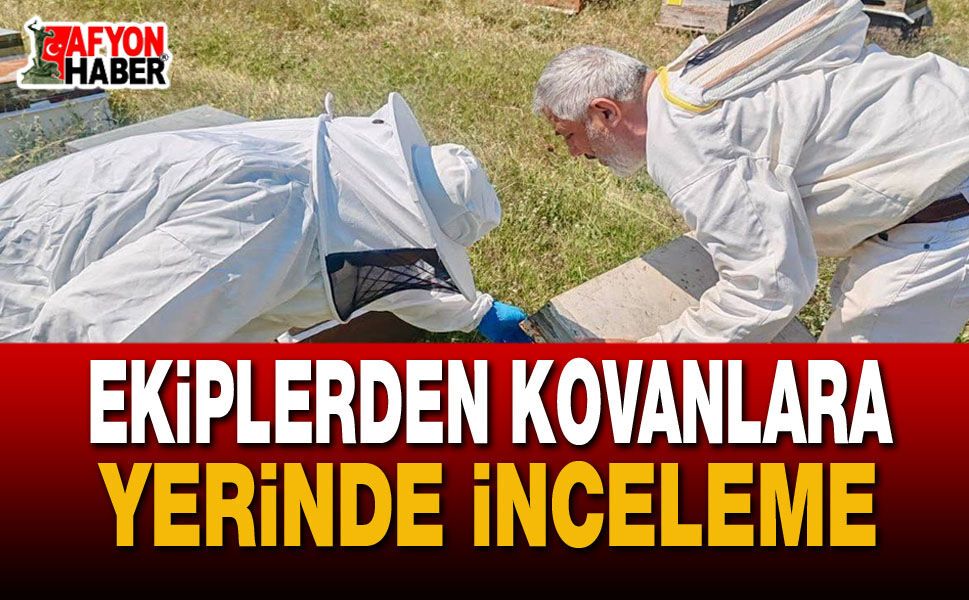 Afyon'da Arıcılık Faaliyetlerine Sıkı Takip