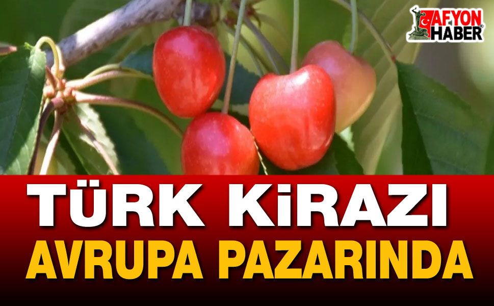 Türk Kirazı Avrupa Pazarını Tatlandıracak