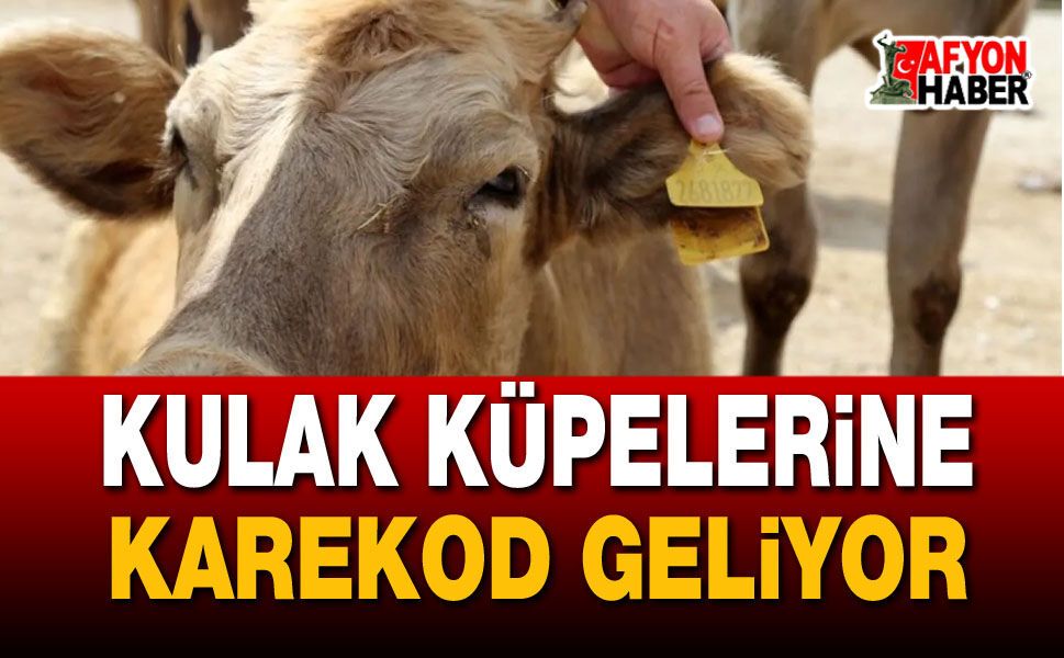 Kulak Küpelerinde Karekod ve Yeni Düzenleme