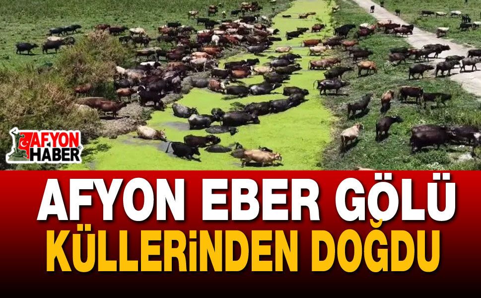 Afyon Eber Gölü Küllerinden Doğdu