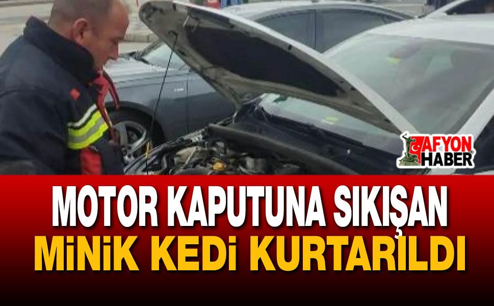 Motor Kaputuna Sıkışan Minik Kedi Kurtarıldı