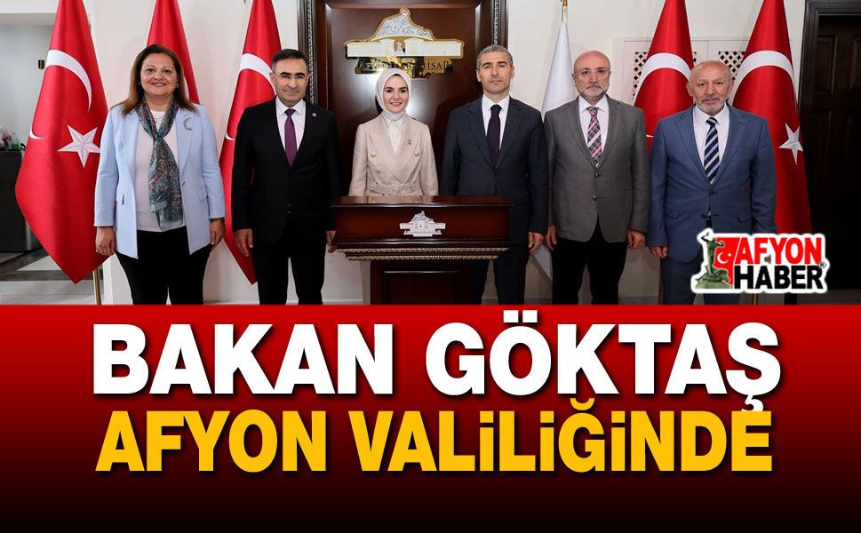 Aile ve Sosyal Hizmetler Bakanı Göktaş Valilikte