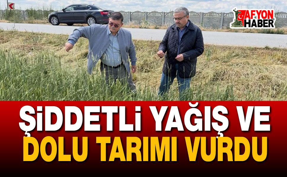 Şiddetli Yağış ve Dolu Tarımı Vurdu