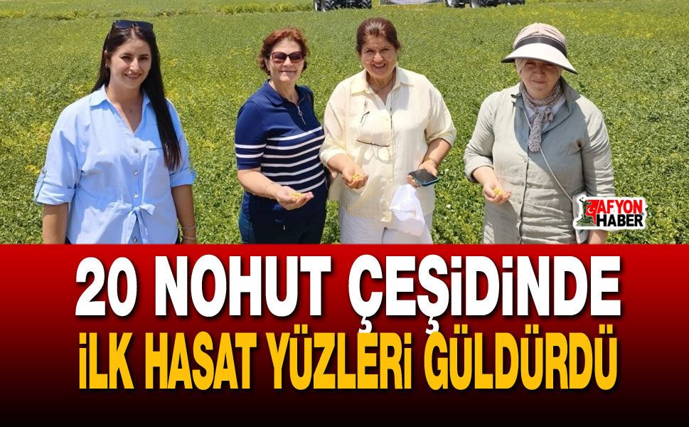 20 nohut çeşidinde ilk hasat yüzleri güldürdü