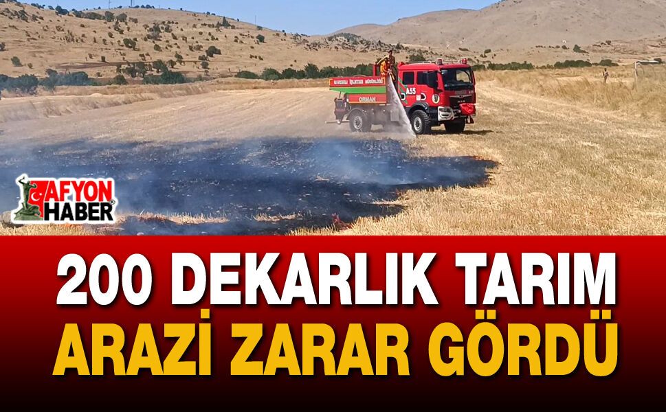 Sandıklı'da Tarım Arazisinde Yangın