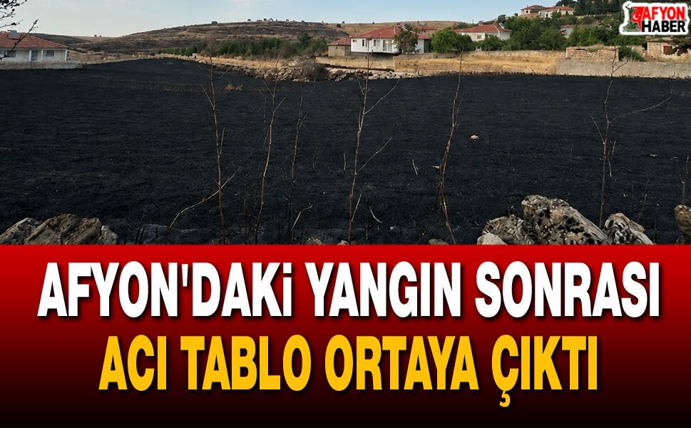 Afyon'daki Yangın Sonrası Acı Tablo Ortaya Çıktı