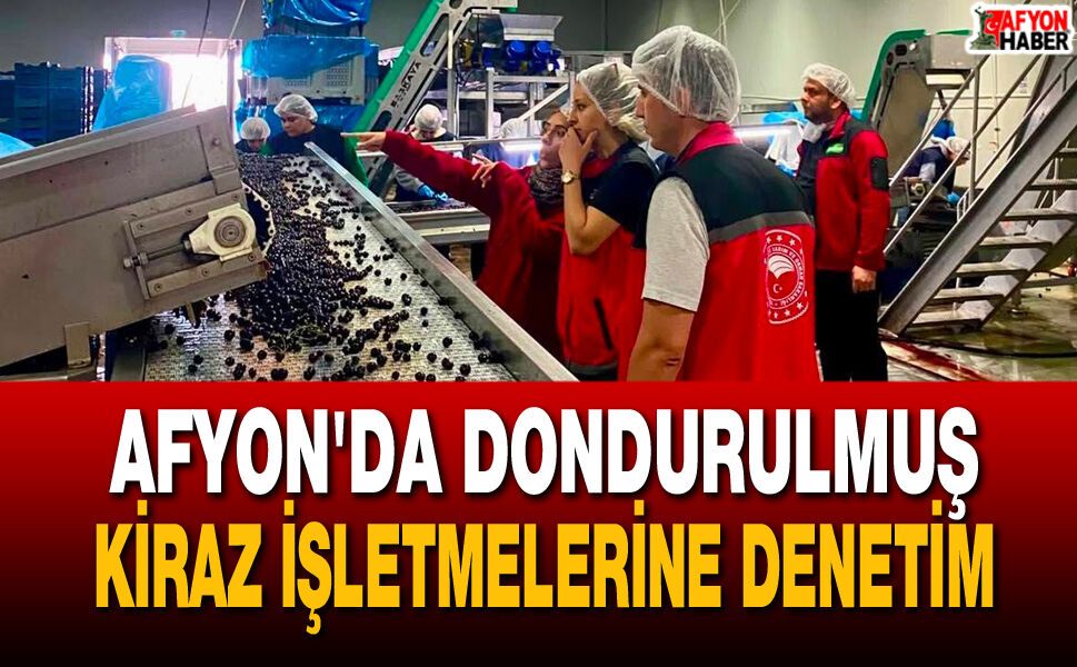 Afyon'da Dondurulmuş Kiraz İşletmelerine Denetim