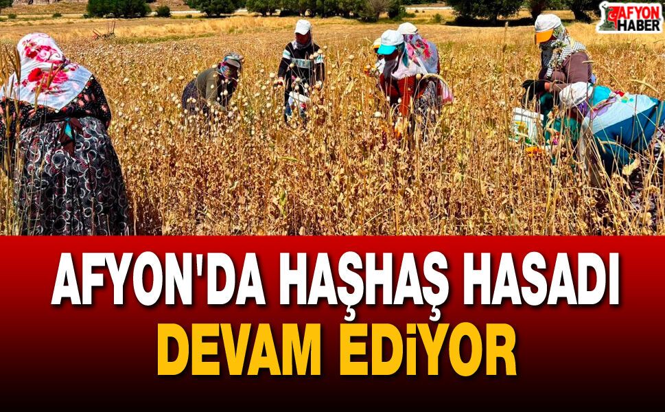 Afyon'da Haşhaş Hasadı Kontrolleri Devam Ediyor
