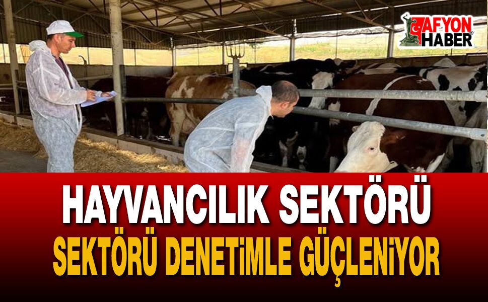 İl Tarım ve Orman Müdürlüğü’nden ithal hayvanlara yakın takip