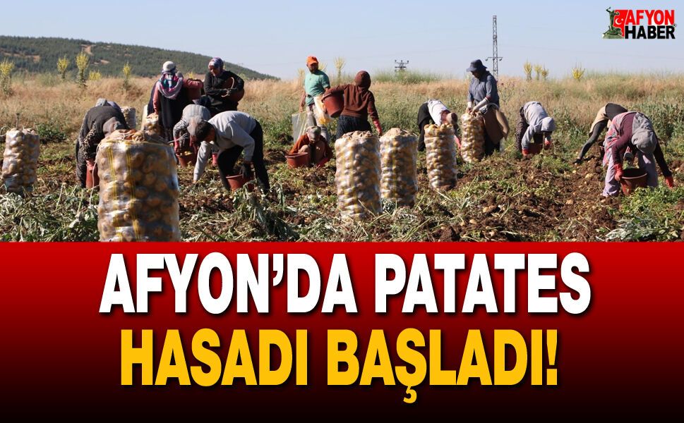 Afyon’da Patates Hasadı Başladı!