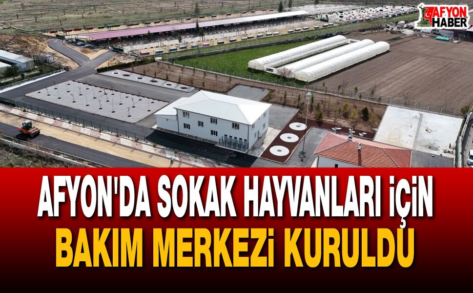 Afyon'da Sokak Hayvanları İçin Bakım Merkezi Kuruldu