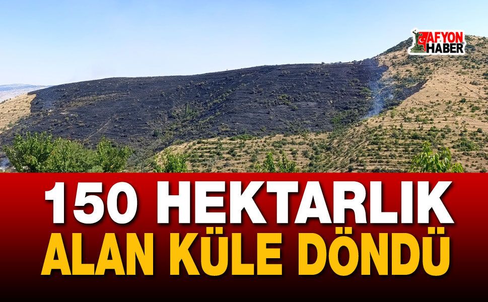 Yangın Söndürüldü: 150 Hektarlık Alan Küle Döndü