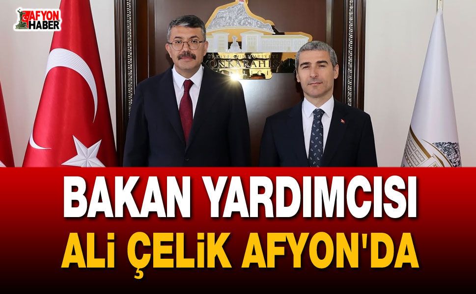 Bakan Yardımcısı Ali Çelik Afyon'da