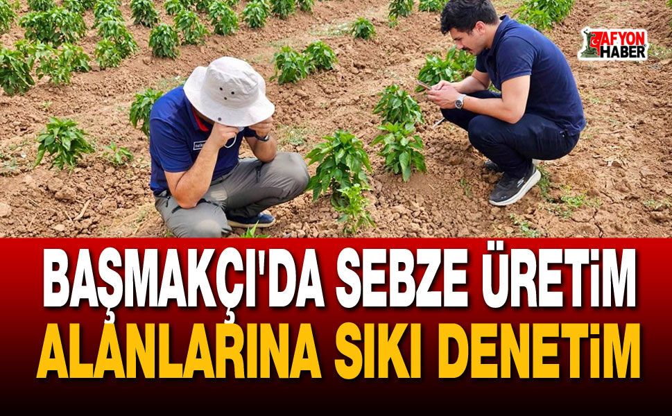 Başmakçı'da sebze üretim alanlarına sıkı denetim