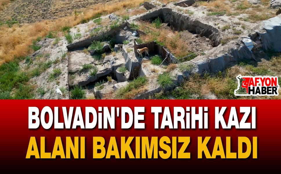 Üçhöyük'teki Kazı Alanı Sokak Köpeklerinin Meskeni Oldu