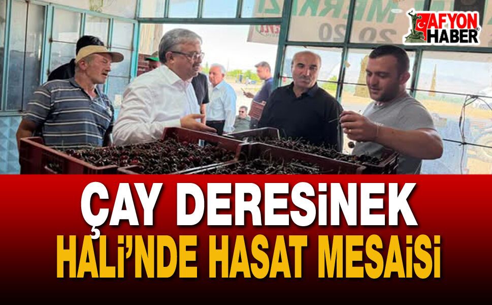 Milletvekili Yurdunuseven Kiraz ve Vişne Alımlarını İnceledi