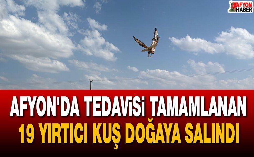 Afyon'da Tedavisi Tamamlanan 19 Yırtıcı Kuş Doğaya Salındı