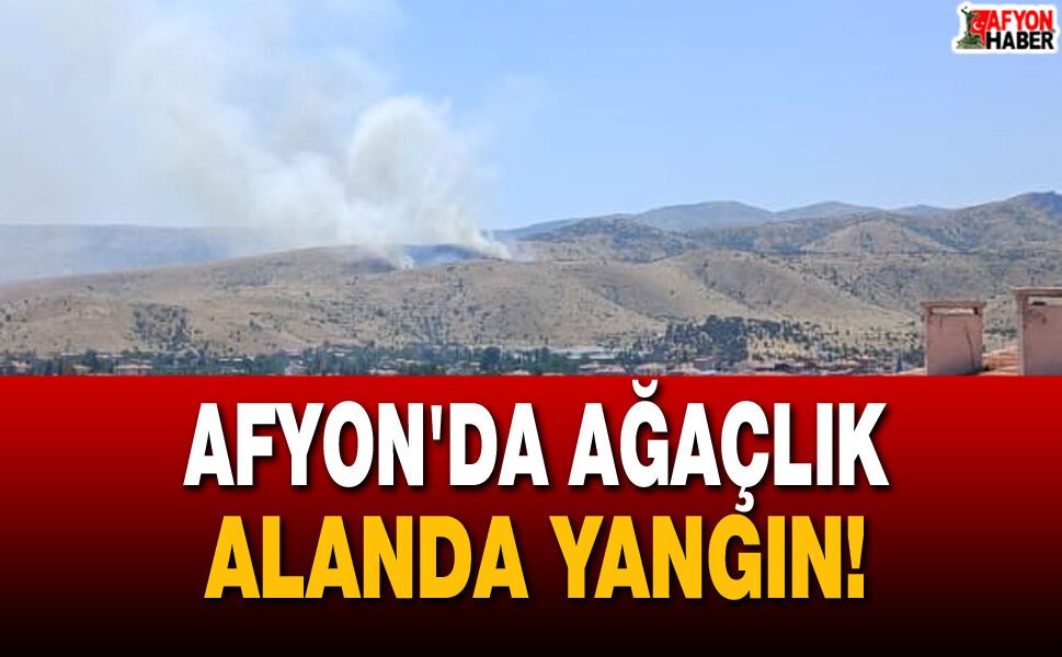 Afyonkarahisar'da Ağaçlık Alanda Yangın!