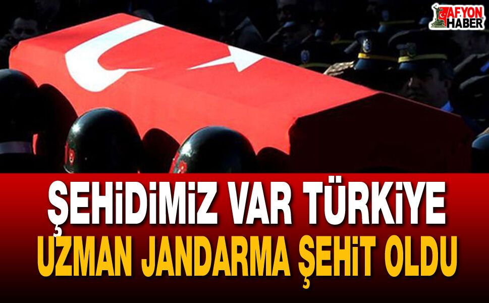 Görev Başındaki Uzman Jandarma Şehit Oldu