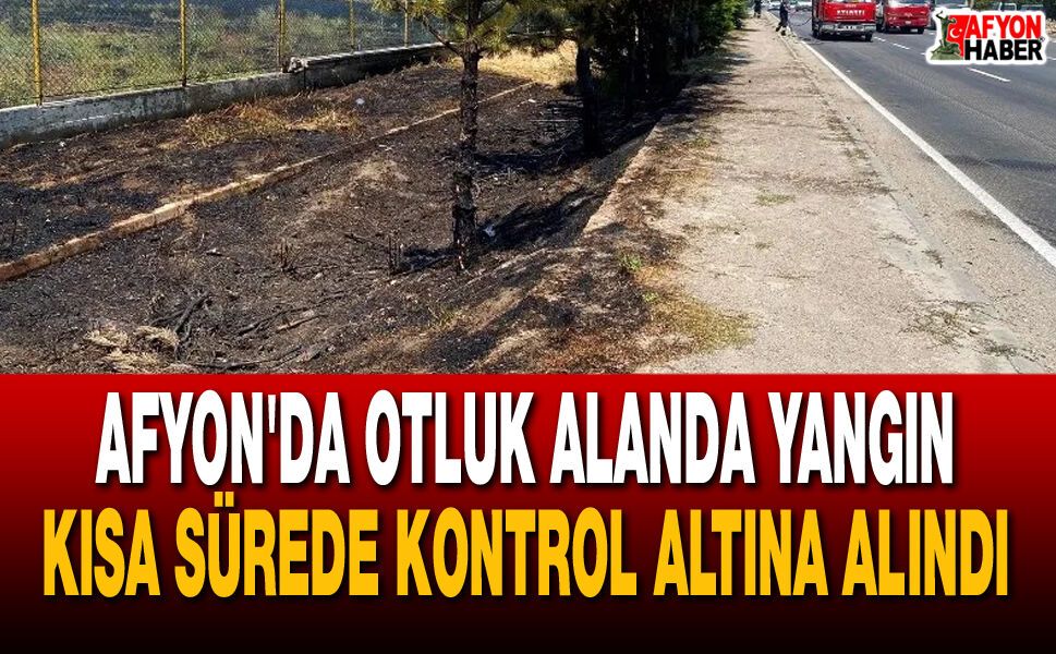 Afyon'da Otluk Alanda Yangın