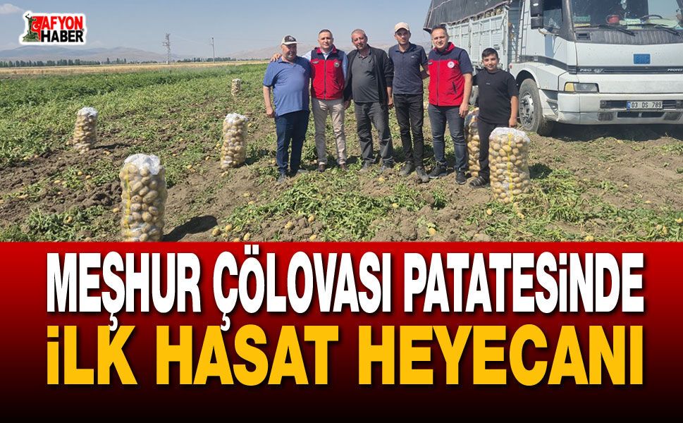Meşhur Çölovası Patatesinde İlk Hasat Heyecanı