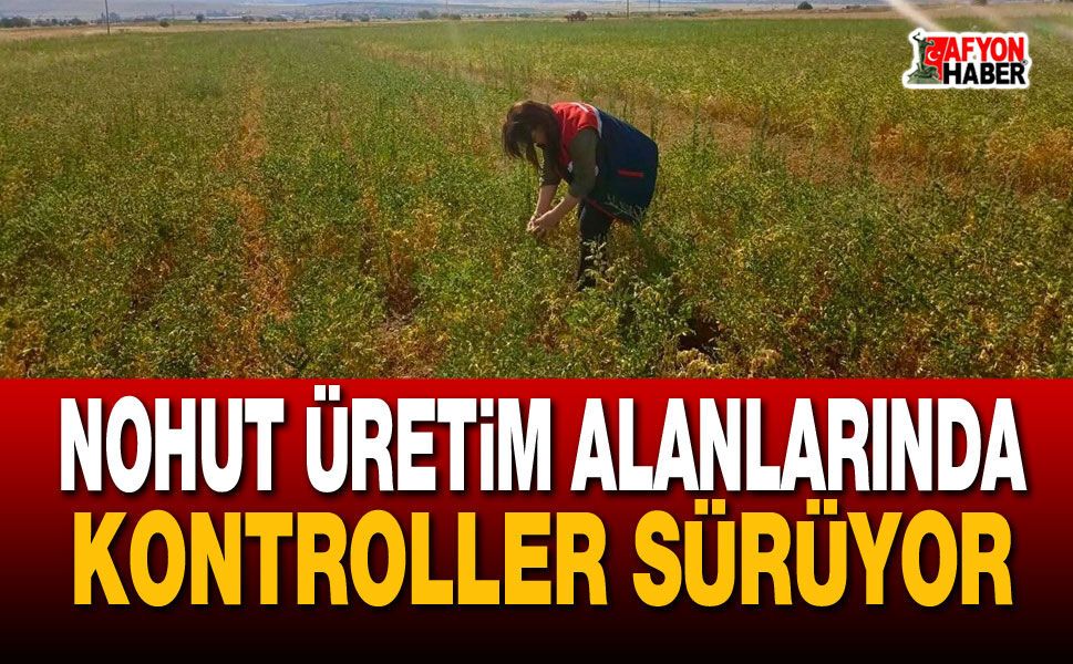 Nohut Üretim Alanlarında Kontroller Sürüyor