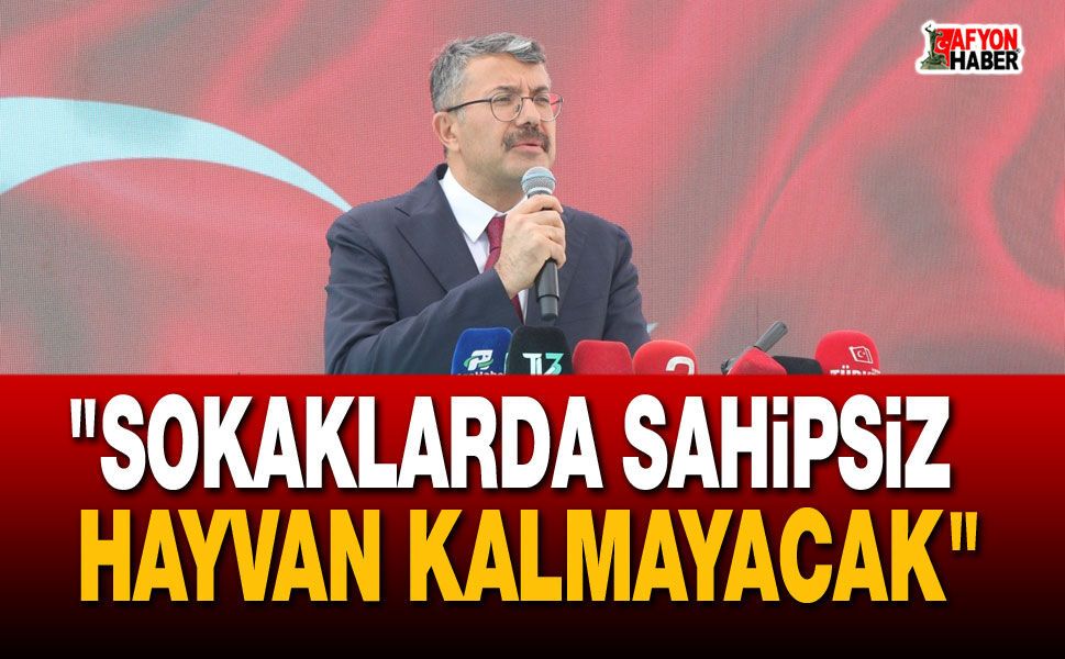 Bakan Yardımcısı Çelik: "Sokaklarda Sahipsiz Hayvan Kalmayacak"